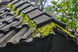 roof coating company in Brislington